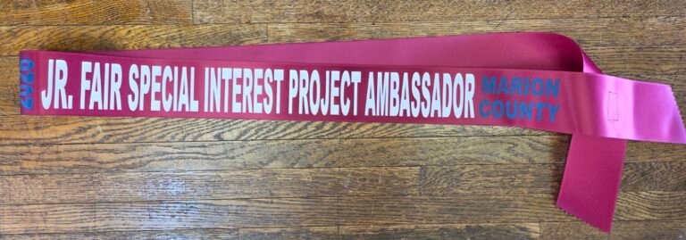 Royalty Sashes